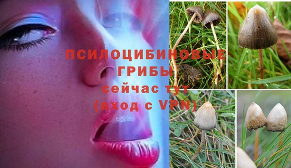 амфетамин Алзамай